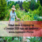 Что же ожидает 60 млн человек, с 1 января 2019 года, после вступления в силу закона № 217 ФЗ о садоводческих и огороднических товариществах Что же ожидает 60 млн человек, с 1 января 2019 года, после вступления в силу закона № 217 ФЗ о садоводческих и огороднических товариществах